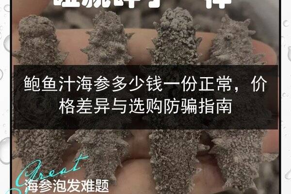 鲍鱼汁海参多少钱一份正常，价格差异与选购防骗指南