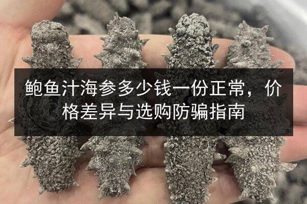 鲍鱼汁海参多少钱一份正常，价格差异与选购防骗指南