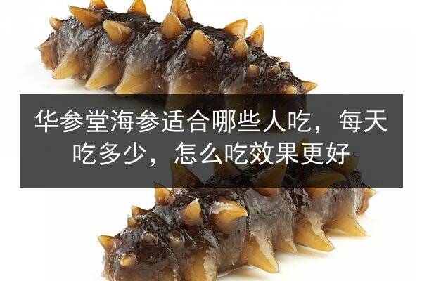 华参堂海参适合哪些人吃,每天吃多少,怎么吃效果更好