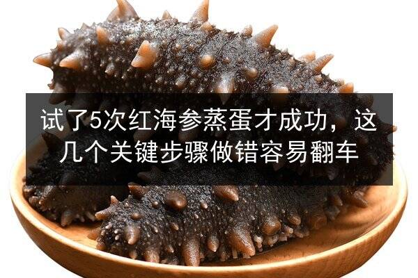 试了5次红海参蒸蛋才成功,这几个关键步骤做错容易翻车