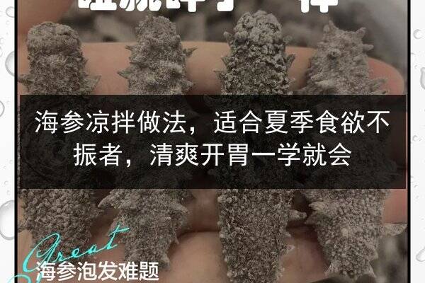 海参凉拌做法，适合夏季食欲不振者，清爽开胃一学就会