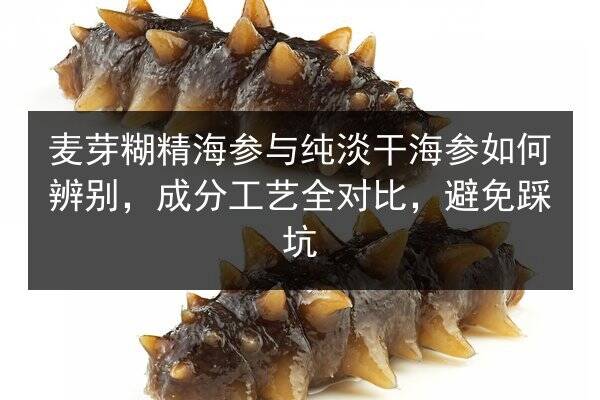 麦芽糊精海参与纯淡干海参如何辨别,成分工艺全对比,避免踩坑