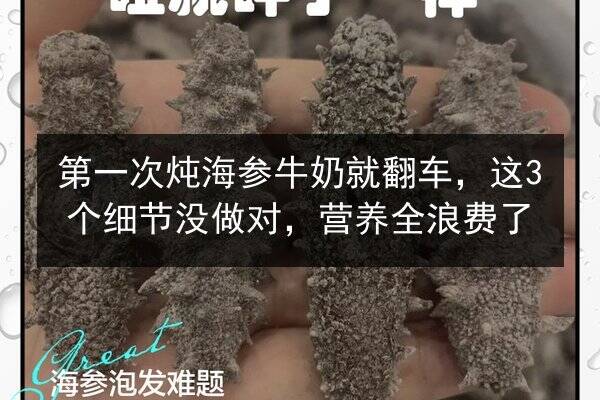 第一次炖海参牛奶就翻车，这3个细节没做对，营养全浪费了