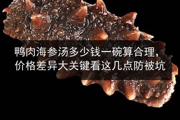 鸭肉海参汤多少钱一碗算合理，价格差异大关键看这几点防被坑