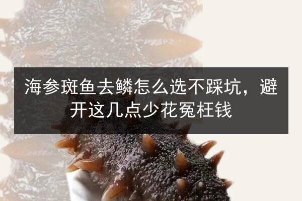 海参斑鱼去鳞怎么选不踩坑,避开这几点少花冤枉钱