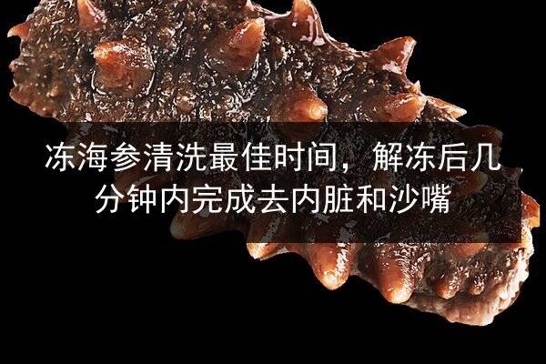 冻海参清洗最佳时间,解冻后几分钟内完成去内脏和沙嘴