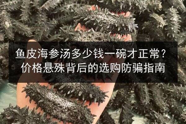 鱼皮海参汤多少钱一碗才正常?价格悬殊背后的选购防骗指南