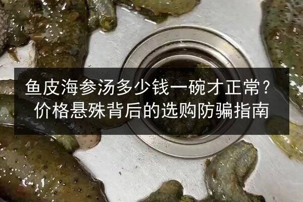 鱼皮海参汤多少钱一碗才正常?价格悬殊背后的选购防骗指南