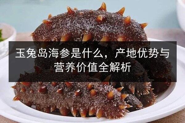 玉兔岛海参是什么，产地优势与营养价值全解析