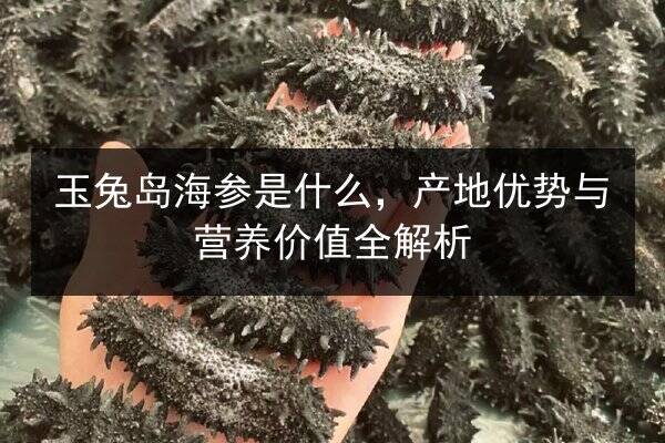 玉兔岛海参是什么，产地优势与营养价值全解析
