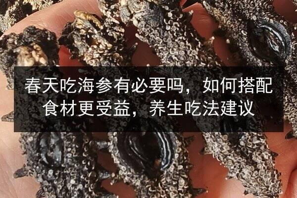 春天吃海参有必要吗,如何搭配食材更受益,养生吃法建议