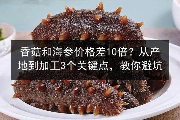 香菇和海参价格差10倍?从产地到加工3个关键点,教你避坑