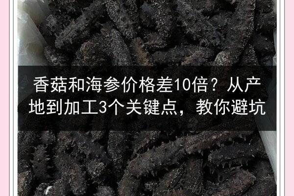 香菇和海参价格差10倍?从产地到加工3个关键点,教你避坑