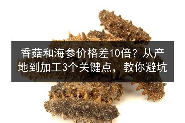 香菇和海参价格差10倍?从产地到加工3个关键点,教你避坑