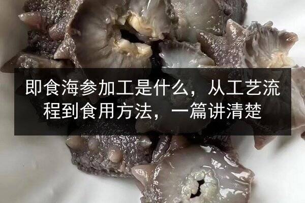 即食海参加工是什么,从工艺流程到食用方法,一篇讲清楚