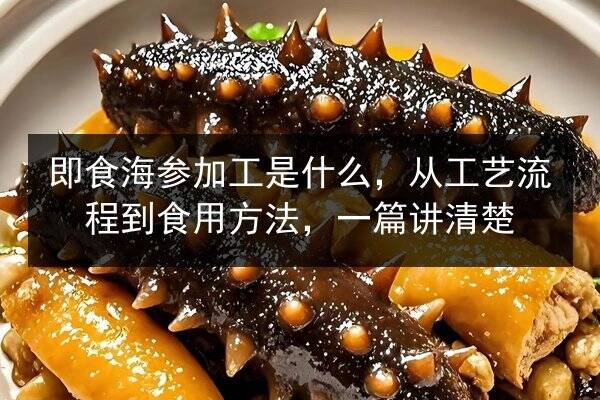 即食海参加工是什么,从工艺流程到食用方法,一篇讲清楚