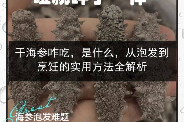 干海参咋吃,是什么,从泡发到烹饪的实用方法全解析