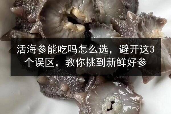 活海参能吃吗怎么选,避开这3个误区,教你挑到新鲜好参