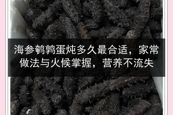 海参鹌鹑蛋炖多久最合适，家常做法与火候掌握，营养不流失
