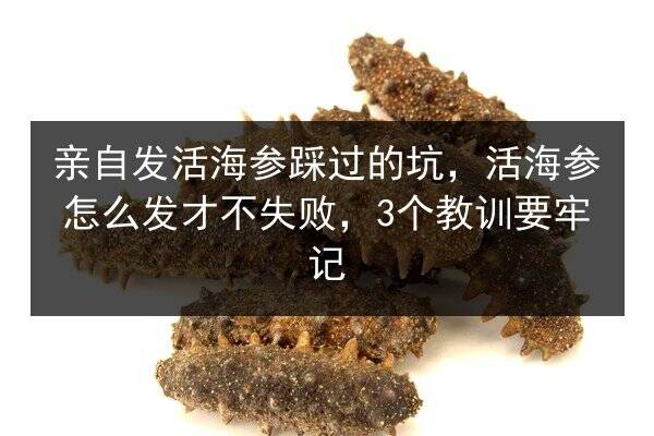 亲自发活海参踩过的坑,活海参怎么发才不失败,3个教训要牢记