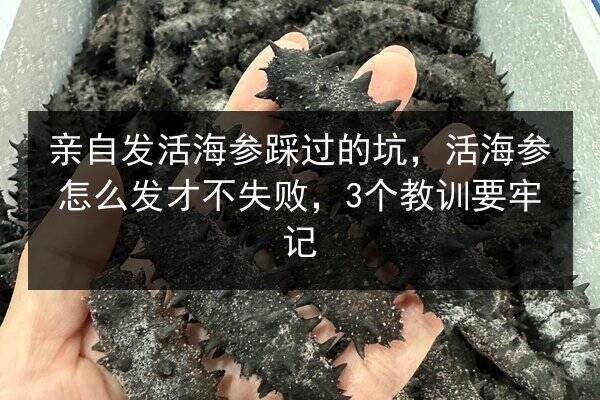 亲自发活海参踩过的坑,活海参怎么发才不失败,3个教训要牢记