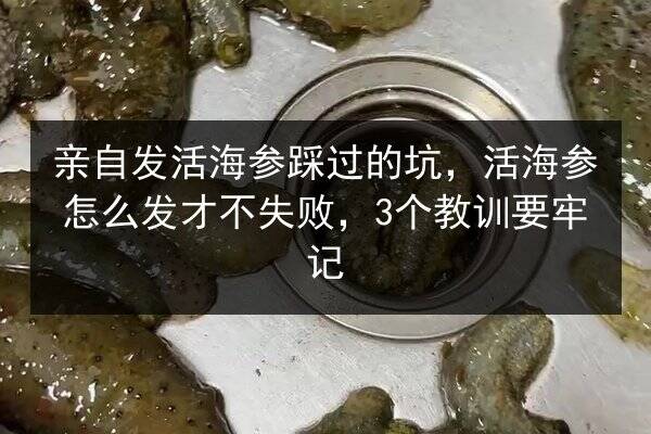亲自发活海参踩过的坑,活海参怎么发才不失败,3个教训要牢记
