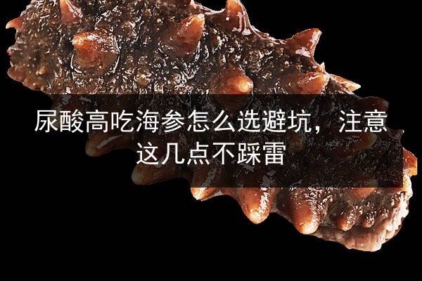 尿酸高吃海参怎么选避坑,注意这几点不踩雷