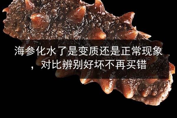 海参化水了是变质还是正常现象,对比辨别好坏不再买错