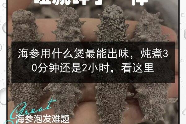 海参用什么煲最能出味,炖煮30分钟还是2小时,看这里