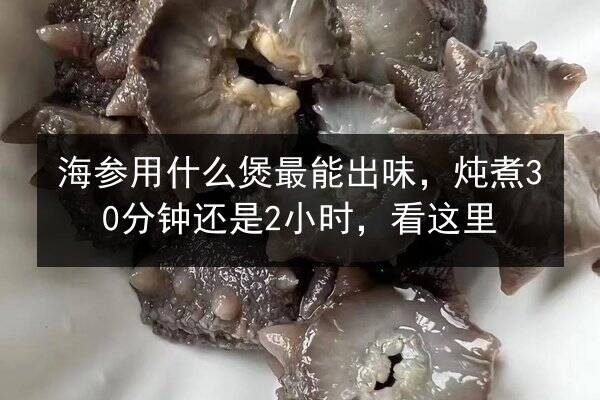 海参用什么煲最能出味,炖煮30分钟还是2小时,看这里