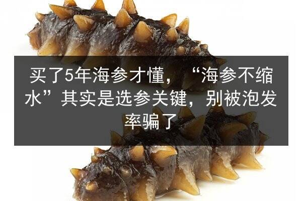 买了5年海参才懂,“海参不缩水”其实是选参关键,别被泡发率骗了