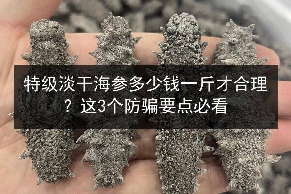 特级淡干海参多少钱一斤才合理?这3个防骗要点必看