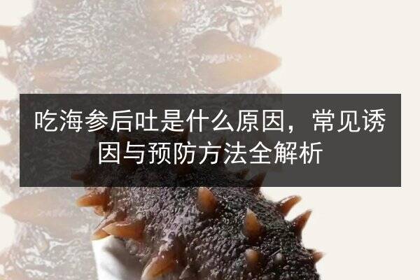 吃海参后吐是什么原因，常见诱因与预防方法全解析