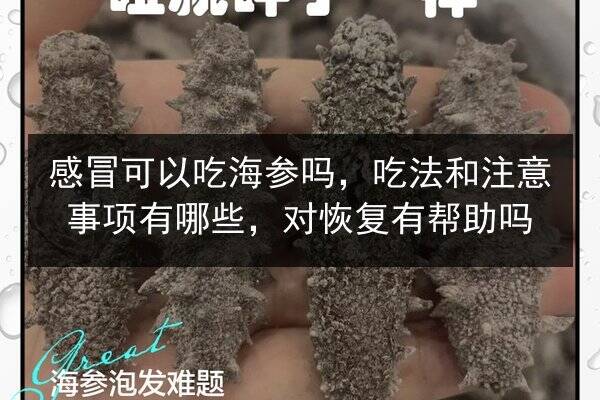 感冒可以吃海参吗，吃法和注意事项有哪些，对恢复有帮助吗