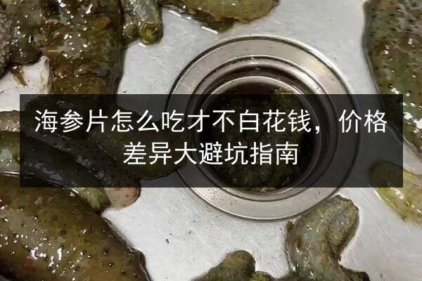 海参片怎么吃才不白花钱，价格差异大避坑指南