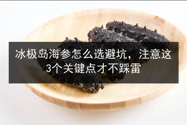 冰极岛海参怎么选避坑,注意这3个关键点才不踩雷