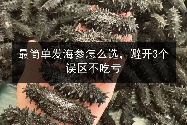 最简单发海参怎么选,避开3个误区不吃亏
