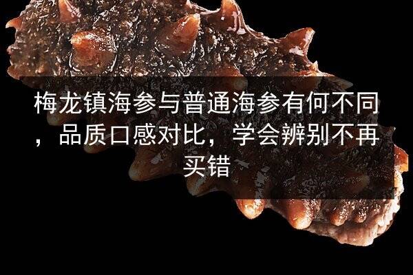 梅龙镇海参与普通海参有何不同，品质口感对比，学会辨别不再买错