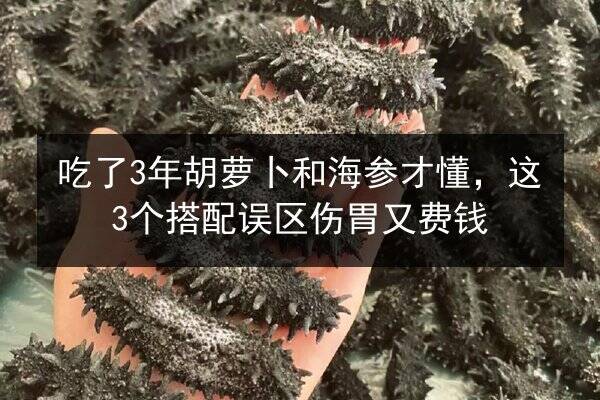 吃了3年胡萝卜和海参才懂,这3个搭配误区伤胃又费钱