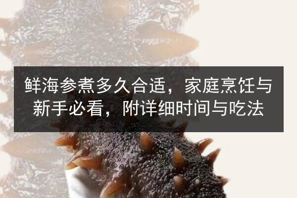 鲜海参煮多久合适，家庭烹饪与新手必看，附详细时间与吃法