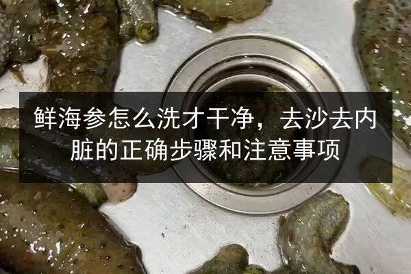 鲜海参怎么洗才干净，去沙去内脏的正确步骤和注意事项