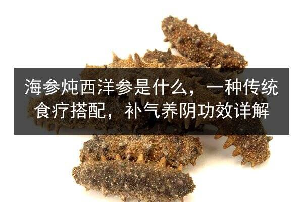 海参炖西洋参是什么,一种传统食疗搭配,补气养阴功效详解