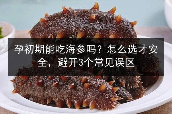 孕初期能吃海参吗?怎么选才安全,避开3个常见误区