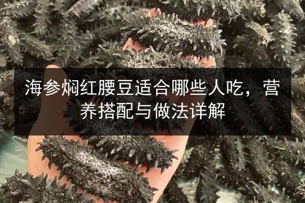 海参焖红腰豆适合哪些人吃，营养搭配与做法详解