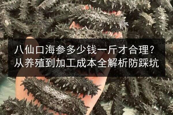 八仙口海参多少钱一斤才合理?从养殖到加工成本全解析防踩坑