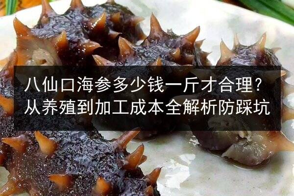八仙口海参多少钱一斤才合理?从养殖到加工成本全解析防踩坑