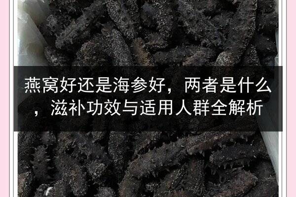 燕窝好还是海参好,两者是什么,滋补功效与适用人群全解析