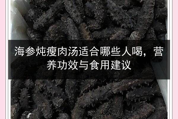 海参炖瘦肉汤适合哪些人喝，营养功效与食用建议