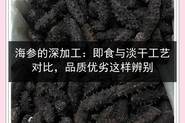 海参的深加工:即食与淡干工艺对比,品质优劣这样辨别