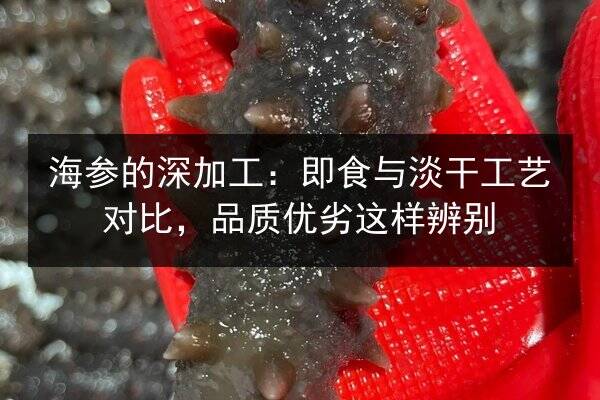 海参的深加工:即食与淡干工艺对比,品质优劣这样辨别